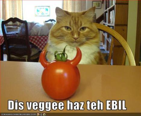 funny-pictures-cat-says-veggie-is-evil
